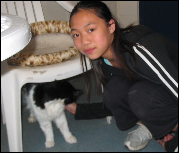 BCSPCA OCT 2006 013.jpg